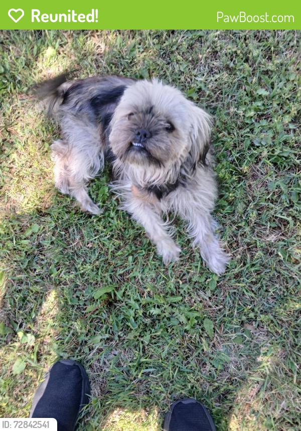 Reunited Male Dog last seen Harry & Washington, Wichita, KS 67216