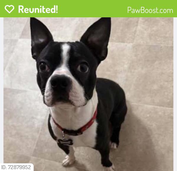 Reunited Male Dog last seen Bluegate Drive & Meredith Rd (Mt Healthy), Springfield Township, OH 45231