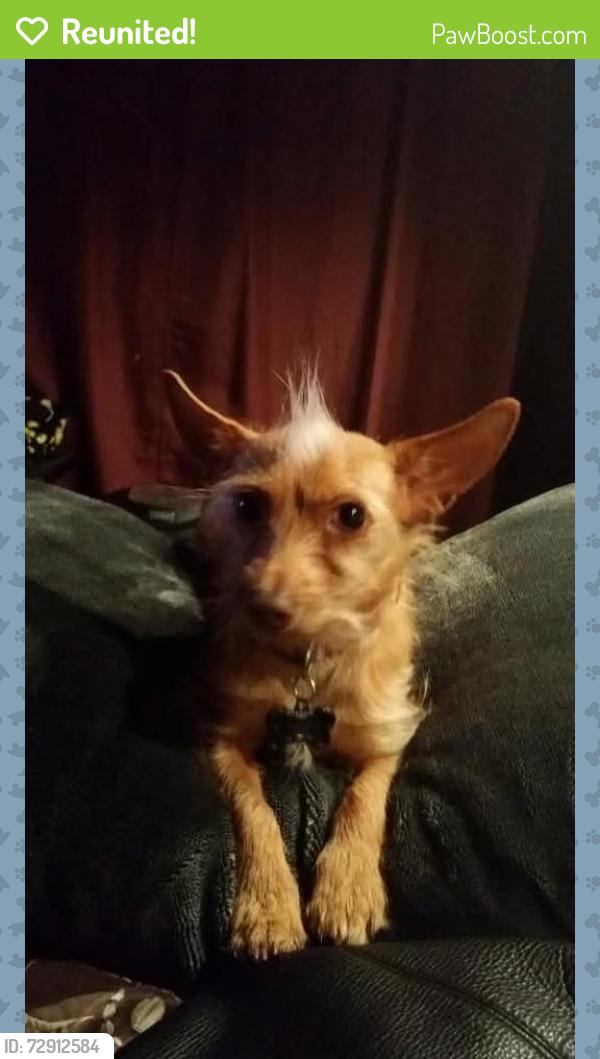 Reunited Male Dog last seen N Bradley Ave, Oklahoma City, OK 73127, USA, Oklahoma City, OK 73127