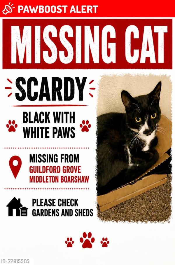 Lost Male Cat last seen Acresfield Road  Boarshaw Primary School, Middleton, England M24
