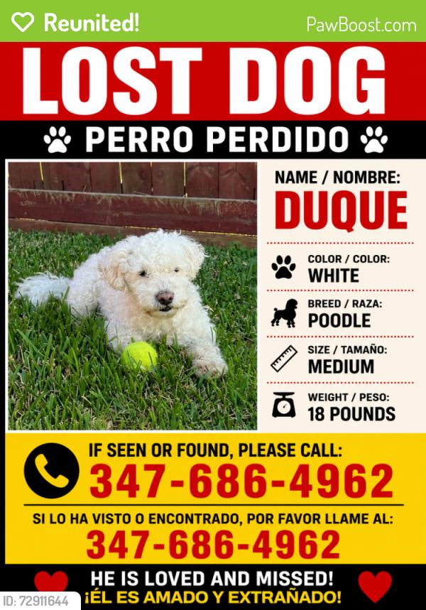 Reunited Male Dog last seen Highlands Tx, Highlands, TX 77562