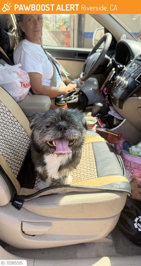 Found/Stray Male Dog last seen Valley Way/ 60 freeway , Riverside, CA 92509