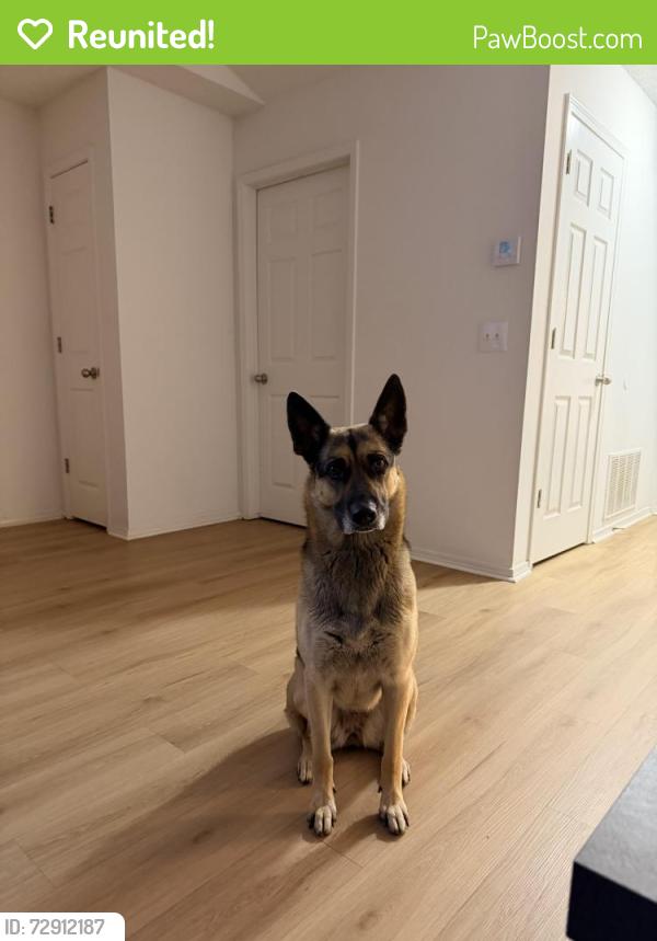 Reunited Female Dog last seen Turner St, Springdale, Springdale, AR 72764