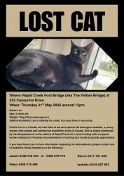 Lost Male Cat last seen Rapid Creek footbridge near the public toilets, Rapid Creek, NT 0810