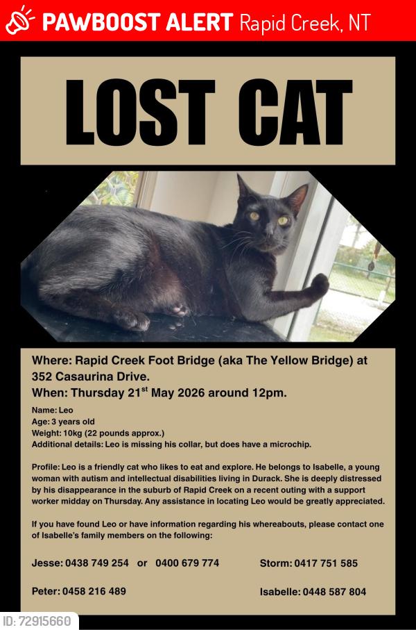 Lost Male Cat last seen Rapid Creek footbridge near the public toilets, Rapid Creek, NT 0810
