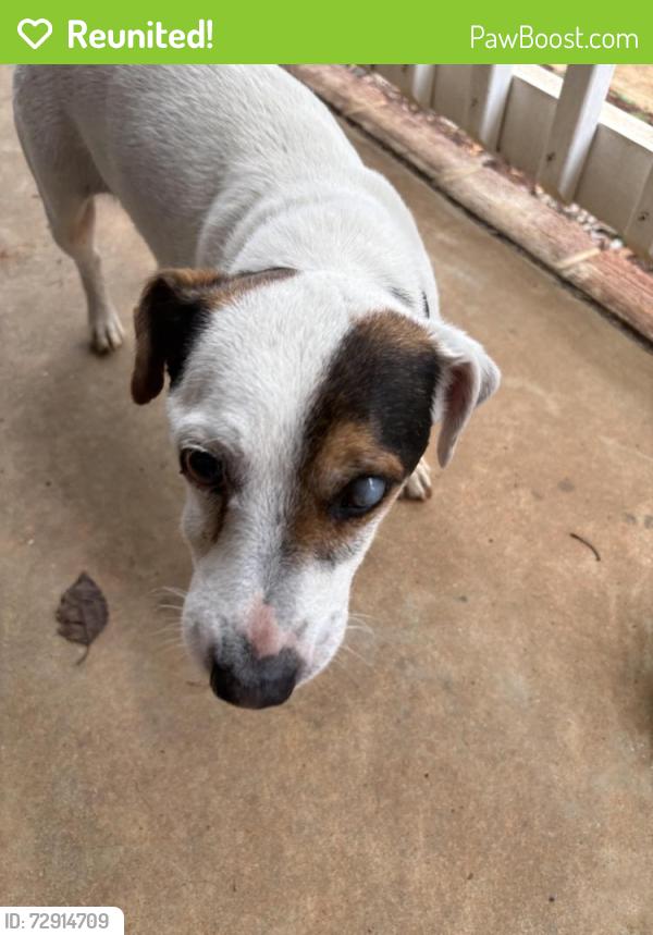 Reunited Male Dog last seen Mason Road Boiling Springs , Boiling Springs, SC 29316