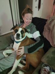 Reunited Female Dog last seen So careful field of reidville rd neighbors, Reidville, SC 29375