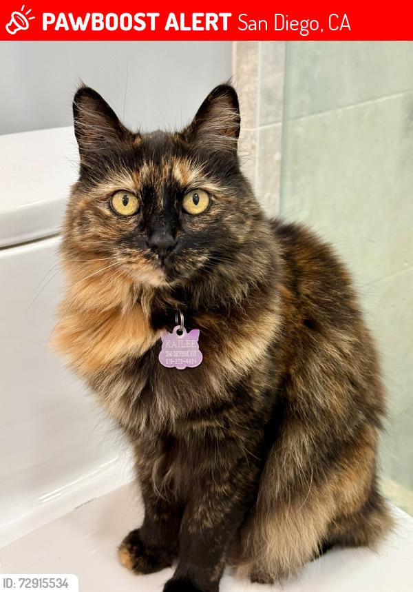 Lost Female Cat last seen Cheyenne Av between Dakota & Geronimo, San Diego, CA 92117