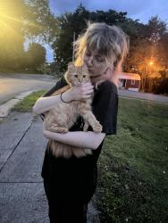 Found/Stray Female Cat last seen At the intersection of SE East St and SE 3rd St, Cleveland, TN 37311