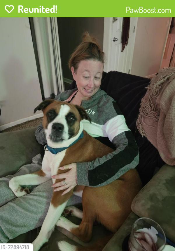 Reunited Female Dog last seen So careful field of reidville rd neighbors, Reidville, SC 29375