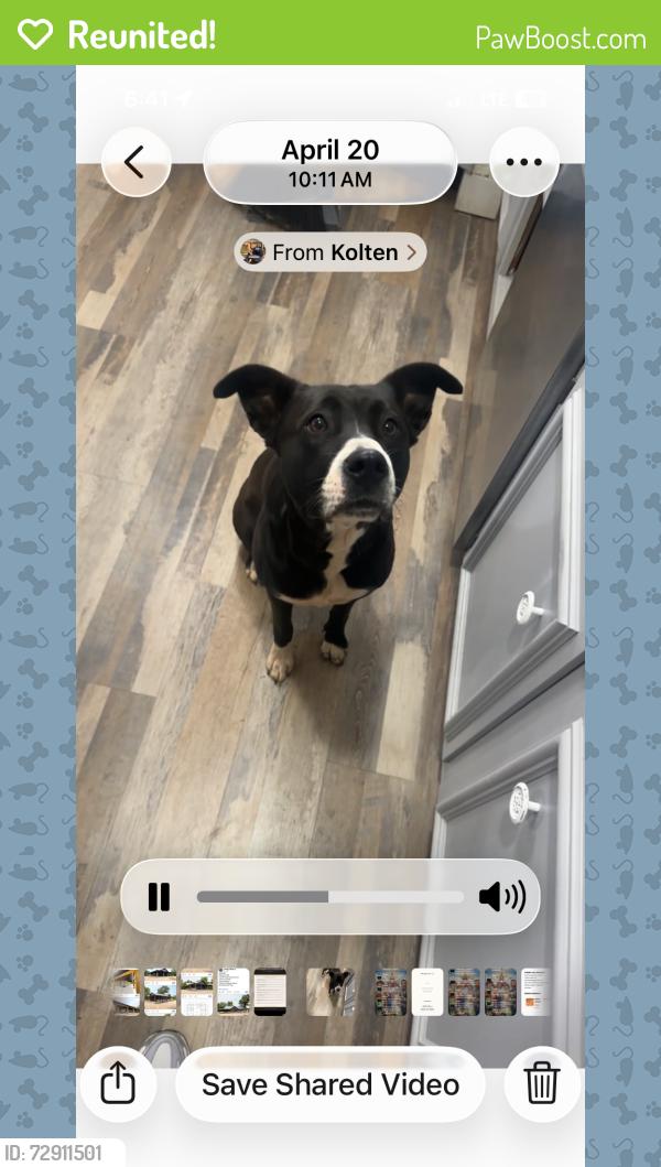 Reunited Female Dog last seen GoldCreek ests, Hickory, NC 28601
