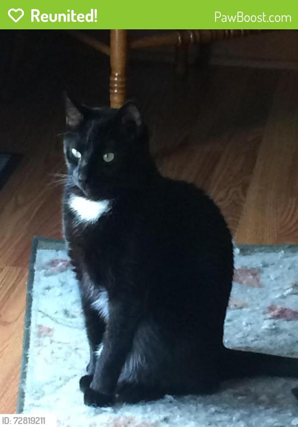 Reunited Male Cat last seen Claridan Rd and Birchwood area, Nashville, NC 27856