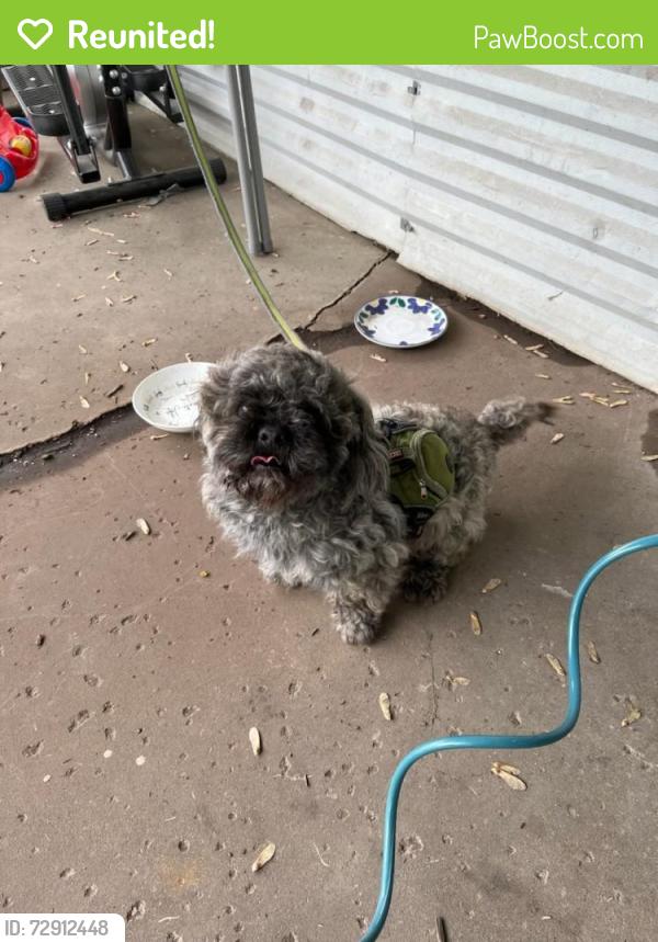 Reunited Male Dog last seen Unknown , New Brighton, MN 55112