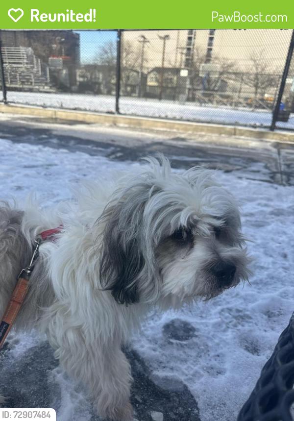 Reunited Male Dog last seen Near pine st , Jersey City, NJ 07304