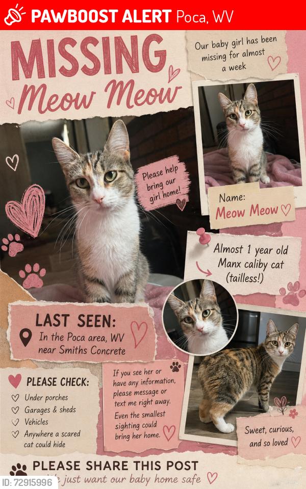 Lost Female Cat last seen Near river street poca wv, Poca, WV 25159