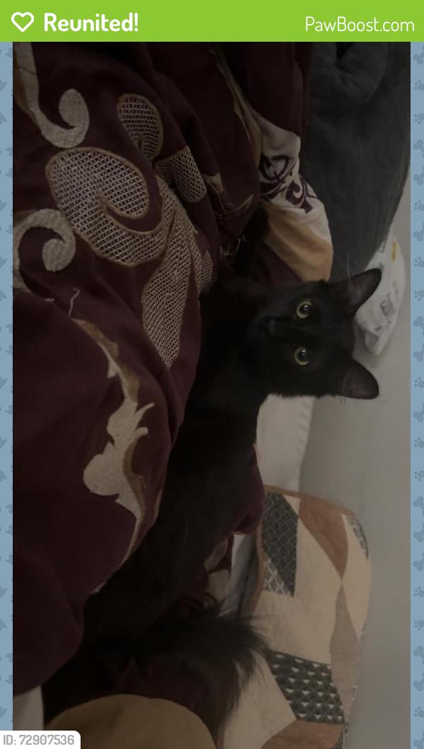 Reunited Male Cat last seen Near summerwalk pkwy , Tucker, GA 30084
