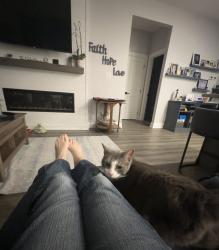 Reunited Male Cat last seen Deer Creek Conservation Area, Southwold, ON N0L