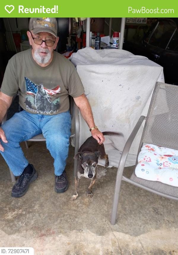 Reunited Male Dog last seen Duncan Rd., Atoka, TN 38004