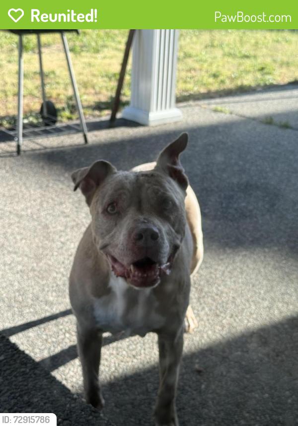 Reunited Female Dog last seen Freestone Station Neighborhood, Olympia, WA 98513