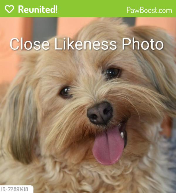 Reunited Female Dog last seen Food Lion on Union Street & Manor Ave, Concord, NC 28025