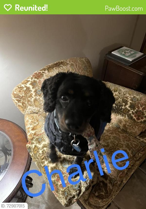 Reunited Male Dog last seen Stockdale and Montclair , Bakersfield, CA 93309