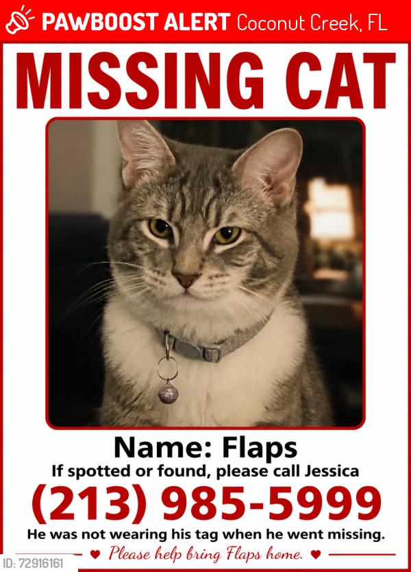 Lost Male Cat last seen Near nw 43rd st , Coconut Creek, FL 33073