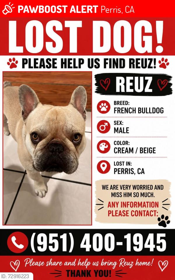 Lost Male Dog last seen Ocean ave, Perris, CA 92571