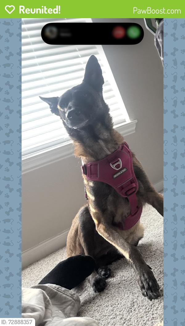 Reunited Female Dog last seen Was last seen at las Brisas apmts , Round Rock, TX 78665