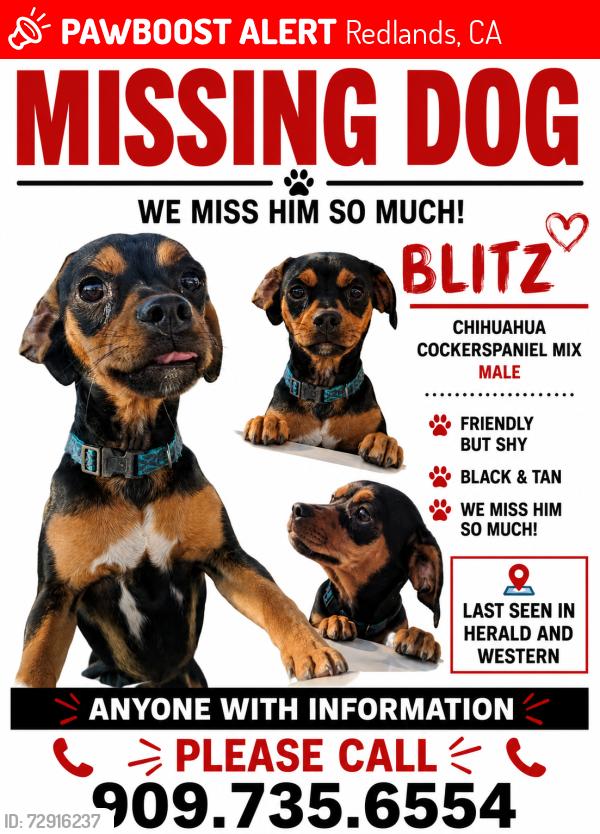 Lost Male Dog last seen herald and western, Redlands, CA 92374