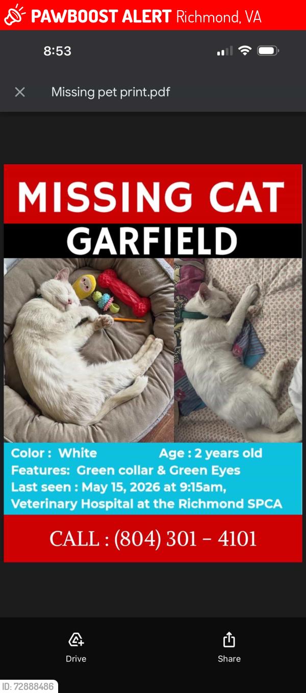 Lost Male Cat last seen Near Hermitage Rd, Richmond, VA 23220