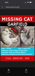 Lost Male Cat last seen Near Hermitage Rd, Richmond, VA 23220