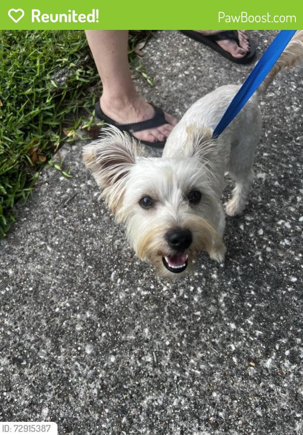Reunited Male Dog last seen Bridgeview, Harris County, TX 77388