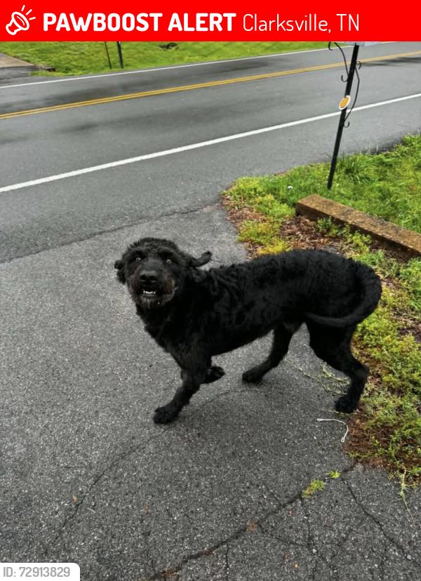 Lost Male Dog last seen Fort campbell, Clarksville, TN 37042