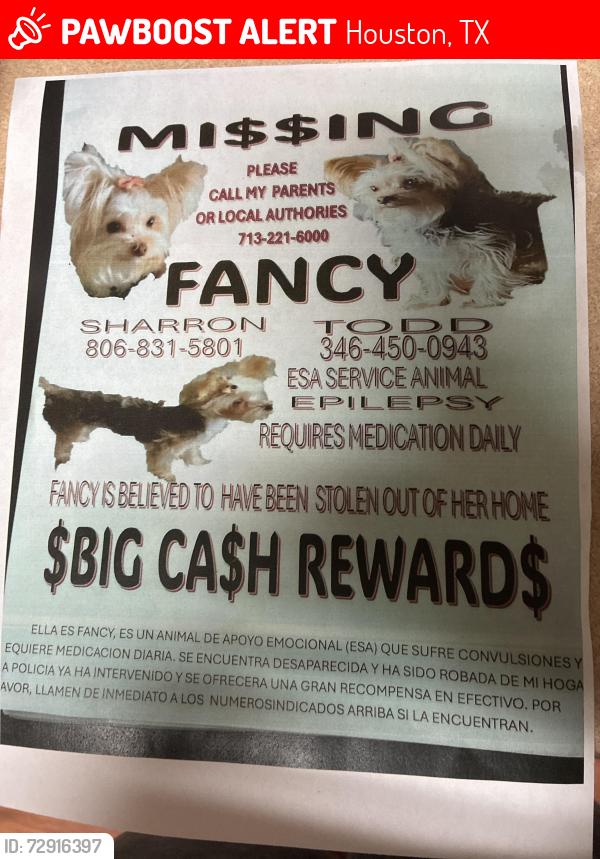 Lost Female Dog last seen Greenspoint area, Ella Blvd, Houston, TX 77014