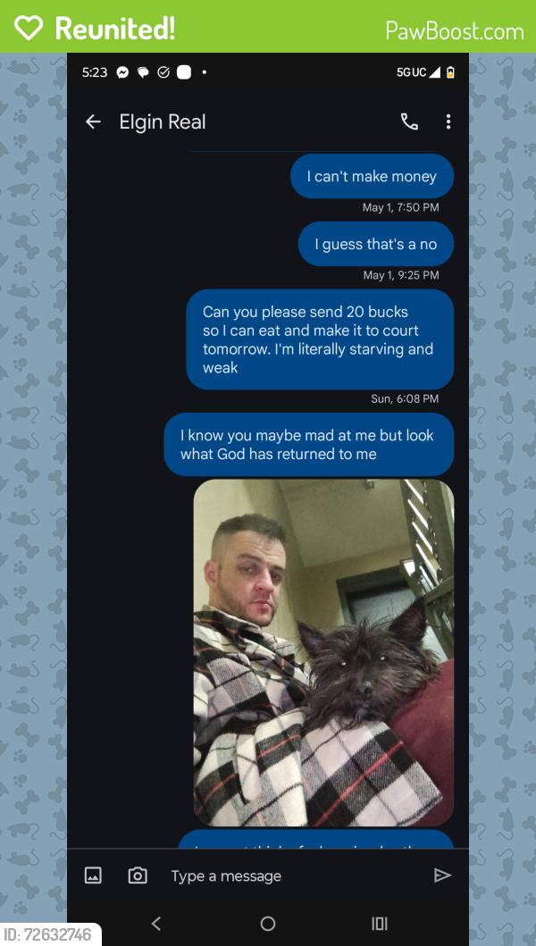 Reunited Male Dog last seen E 132nd street and Madison avenue, New York, NY 10037