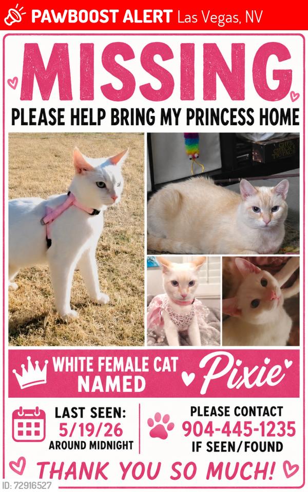 Lost Female Cat last seen Zoom apmts , Las Vegas, NV 89103