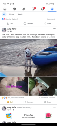 Lost Female Dog last seen Near Lewis chapel , Sequatchie County, TN 37338