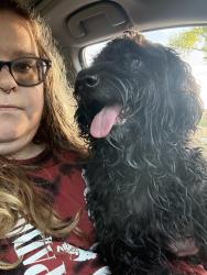 Reunited Male Dog last seen Near cemetery , Wilmington, NC 28408