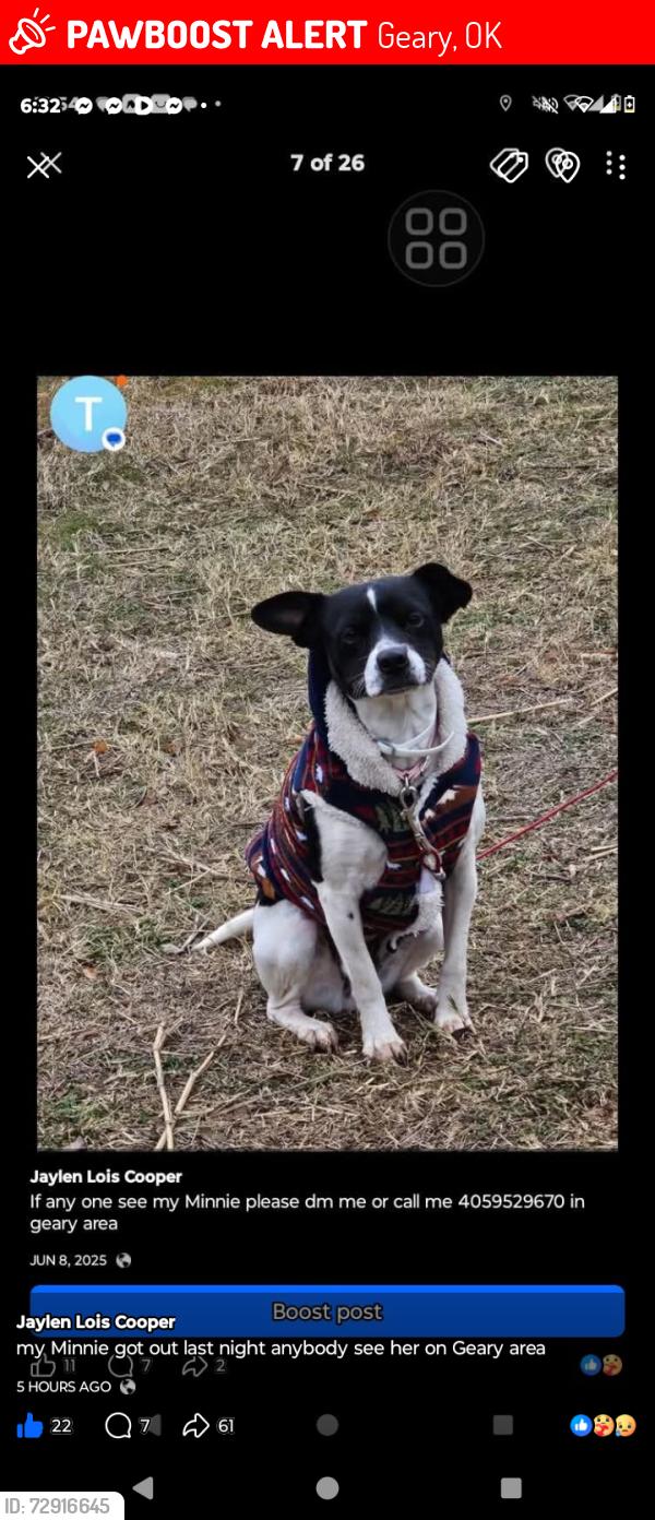 Lost Female Dog last seen by dollar general , Geary, OK 73040