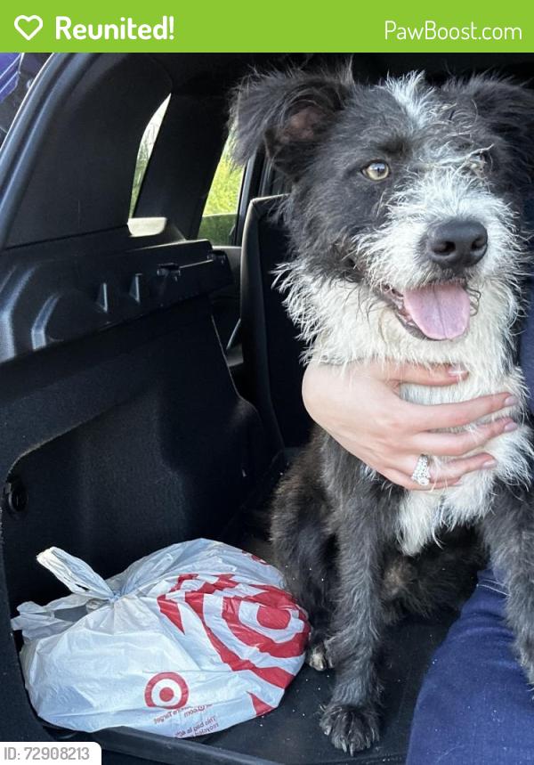 Reunited Male Dog last seen Not sure, Dallas, TX 75203