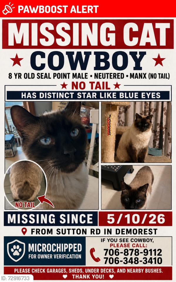 Lost Male Cat last seen Sutton Rd, Habersham County, GA 30535