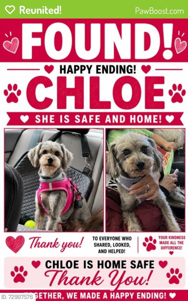 Reunited Female Dog last seen Thomas st , Brentwood, NY 11717
