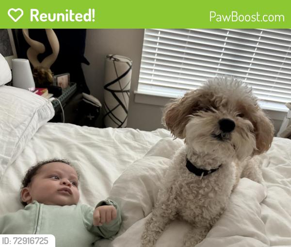 Reunited Male Dog last seen Near Pecan Path Dr, Fort Worth, TX 76108, USA, Fort Worth, TX 76108
