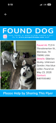 Found/Stray Unknown Dog last seen Railroad tracks, Sherman, TX 75090