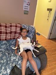 Reunited Male Dog last seen Near Meadowfield Ln, Franklinton, NC 27525