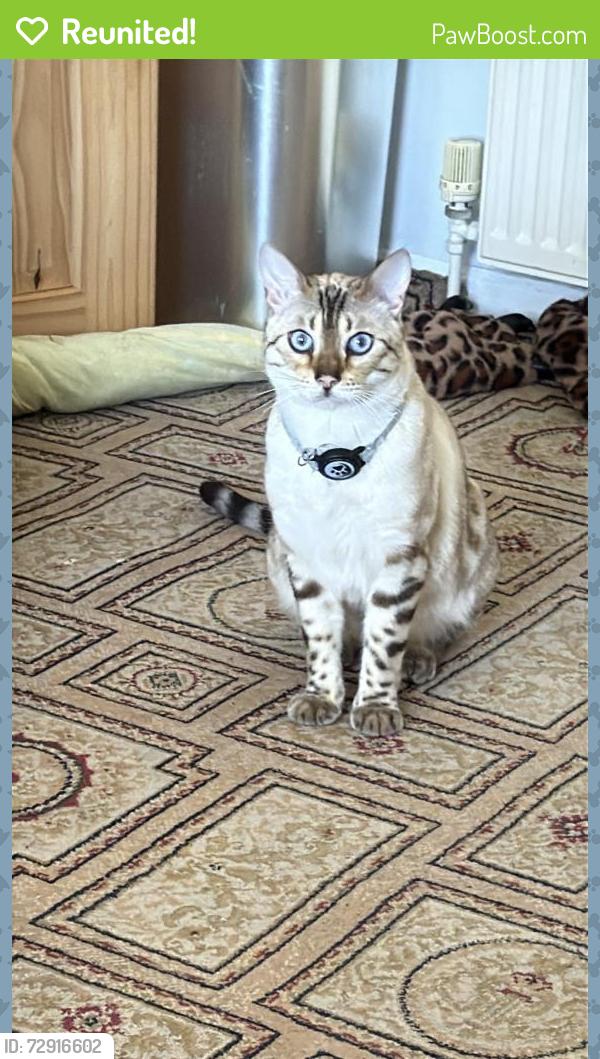 Reunited Male Cat last seen Oakhill Crescent, West Midlands, England B27 7LU