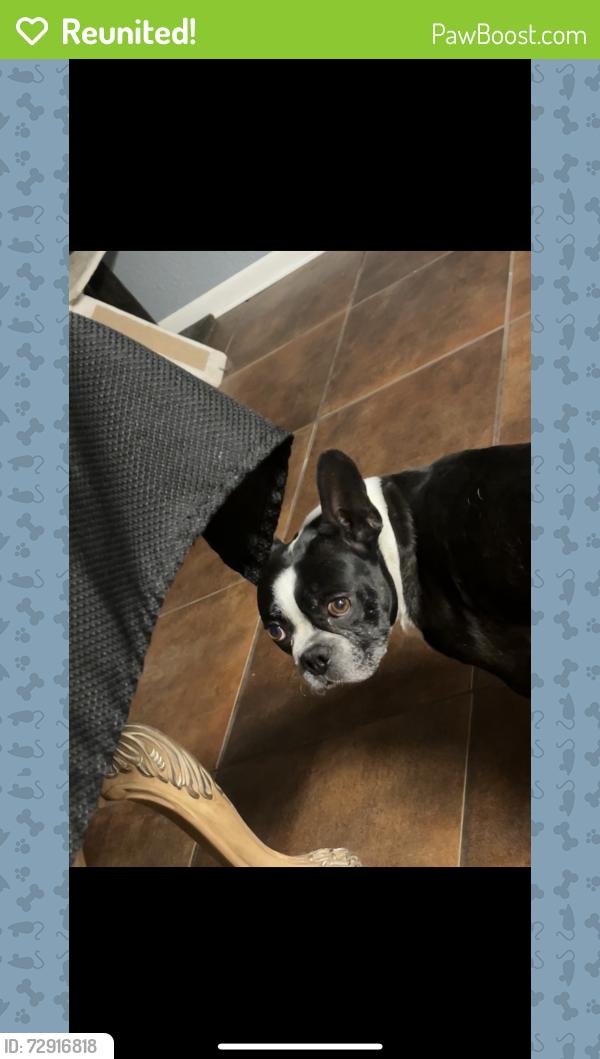 Reunited Male Dog last seen Misty plain, raven field store, quiet plain drive , San Antonio, TX 78245