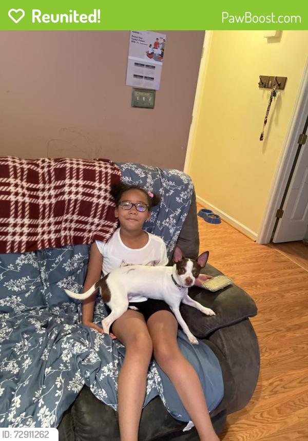 Reunited Male Dog last seen Near Meadowfield Ln, Franklinton, NC 27525