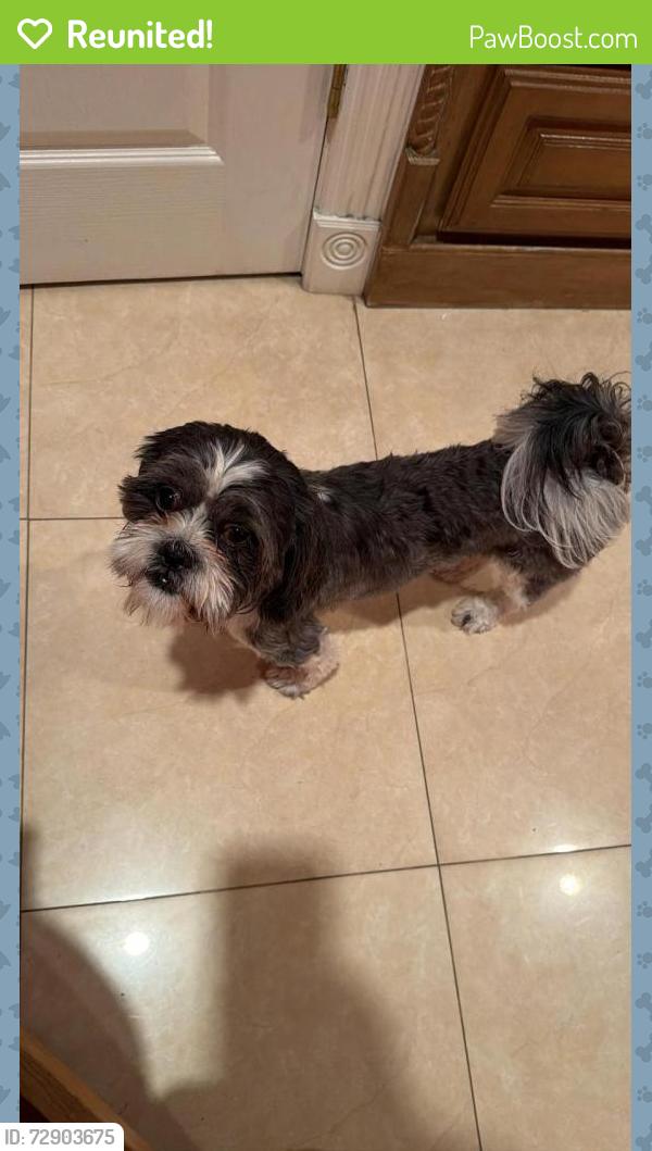Reunited Male Dog last seen veterans , Pharr, TX 78577