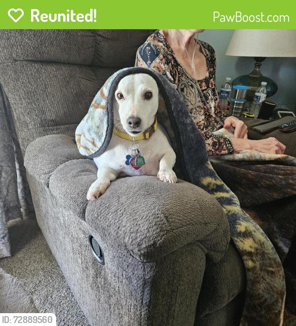 Reunited Female Dog last seen Orient between meridian Harry seneca, Wichita, KS 67217